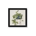 Picture of Plant in Black Pot II _GroupedProduct_Square_Framed_Matted_