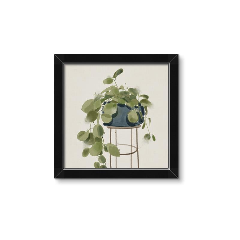 Picture of Plant in Black Pot II _GroupedProduct_Square_Framed_Matted_