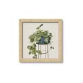 Picture of Plant in Black Pot II _GroupedProduct_Square_Framed_Matted_