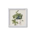 Picture of Plant in Black Pot II _GroupedProduct_Square_Framed_Matted_