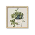 Picture of Plant in Black Pot II _GroupedProduct_Square_Framed_Matted_