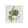 Picture of Plant in Black Pot II _GroupedProduct_Square_Framed_Matted_