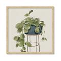 Picture of Plant in Black Pot II _GroupedProduct_Square_Framed_Matted_