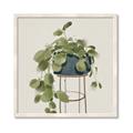 Picture of Plant in Black Pot II _GroupedProduct_Square_Framed_Matted_