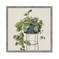 Picture of Plant in Black Pot II _GroupedProduct_Square_Framed_Matted_
