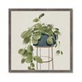 Picture of Plant in Black Pot II _GroupedProduct_Square_Framed_Matted_