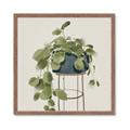 Picture of Plant in Black Pot II _GroupedProduct_Square_Framed_Matted_