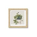 Picture of Plant in Black Pot II _GroupedProduct_Square_Framed_Matted_