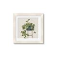 Picture of Plant in Black Pot II _GroupedProduct_Square_Framed_Matted_