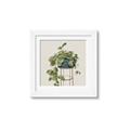 Picture of Plant in Black Pot II _GroupedProduct_Square_Framed_Matted_