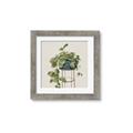 Picture of Plant in Black Pot II _GroupedProduct_Square_Framed_Matted_