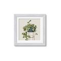 Picture of Plant in Black Pot II _GroupedProduct_Square_Framed_Matted_