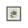 Picture of Plant in Black Pot II _GroupedProduct_Square_Framed_Matted_