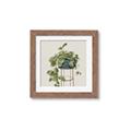 Picture of Plant in Black Pot II _GroupedProduct_Square_Framed_Matted_