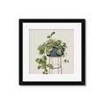 Picture of Plant in Black Pot II _GroupedProduct_Square_Framed_Matted_