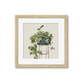 Picture of Plant in Black Pot II _GroupedProduct_Square_Framed_Matted_