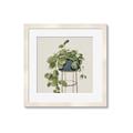 Picture of Plant in Black Pot II _GroupedProduct_Square_Framed_Matted_