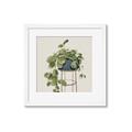 Picture of Plant in Black Pot II _GroupedProduct_Square_Framed_Matted_