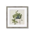Picture of Plant in Black Pot II _GroupedProduct_Square_Framed_Matted_