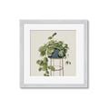 Picture of Plant in Black Pot II _GroupedProduct_Square_Framed_Matted_