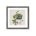 Picture of Plant in Black Pot II _GroupedProduct_Square_Framed_Matted_
