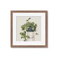 Picture of Plant in Black Pot II _GroupedProduct_Square_Framed_Matted_