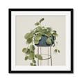 Picture of Plant in Black Pot II _GroupedProduct_Square_Framed_Matted_