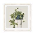 Picture of Plant in Black Pot II _GroupedProduct_Square_Framed_Matted_