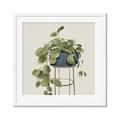 Picture of Plant in Black Pot II _GroupedProduct_Square_Framed_Matted_