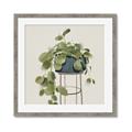 Picture of Plant in Black Pot II _GroupedProduct_Square_Framed_Matted_