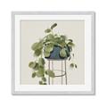 Picture of Plant in Black Pot II _GroupedProduct_Square_Framed_Matted_