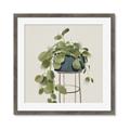 Picture of Plant in Black Pot II _GroupedProduct_Square_Framed_Matted_