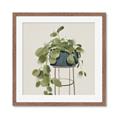 Picture of Plant in Black Pot II _GroupedProduct_Square_Framed_Matted_