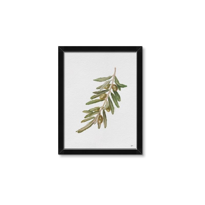 Picture of Olive Branch _GroupedProduct_Rectangle_Portrait_Framed_Matted_