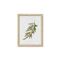 Picture of Olive Branch _GroupedProduct_Rectangle_Portrait_Framed_Matted_