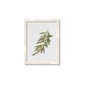 Picture of Olive Branch _GroupedProduct_Rectangle_Portrait_Framed_Matted_