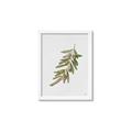 Picture of Olive Branch _GroupedProduct_Rectangle_Portrait_Framed_Matted_