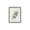 Picture of Olive Branch _GroupedProduct_Rectangle_Portrait_Framed_Matted_
