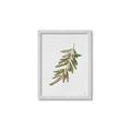 Picture of Olive Branch _GroupedProduct_Rectangle_Portrait_Framed_Matted_