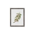 Picture of Olive Branch _GroupedProduct_Rectangle_Portrait_Framed_Matted_