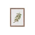Picture of Olive Branch _GroupedProduct_Rectangle_Portrait_Framed_Matted_