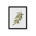 Picture of Olive Branch _GroupedProduct_Rectangle_Portrait_Framed_Matted_