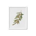 Picture of Olive Branch _GroupedProduct_Rectangle_Portrait_Framed_Matted_