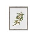 Picture of Olive Branch _GroupedProduct_Rectangle_Portrait_Framed_Matted_