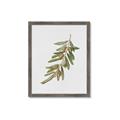 Picture of Olive Branch _GroupedProduct_Rectangle_Portrait_Framed_Matted_