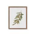 Picture of Olive Branch _GroupedProduct_Rectangle_Portrait_Framed_Matted_