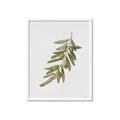 Picture of Olive Branch _GroupedProduct_Rectangle_Portrait_Framed_Matted_