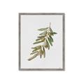 Picture of Olive Branch _GroupedProduct_Rectangle_Portrait_Framed_Matted_