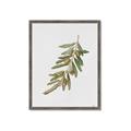Picture of Olive Branch _GroupedProduct_Rectangle_Portrait_Framed_Matted_