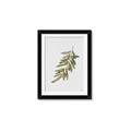 Picture of Olive Branch _GroupedProduct_Rectangle_Portrait_Framed_Matted_